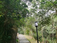 -广州白江湖森林公园
