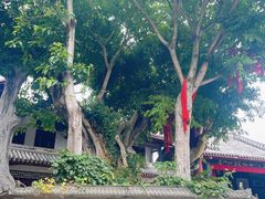 -黄龙溪古镇
