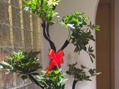 -沐森 •疗愈头疗馆(打浦桥店)