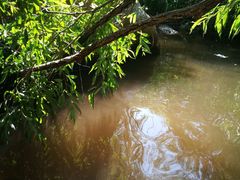 -碓臼峪自然风景区