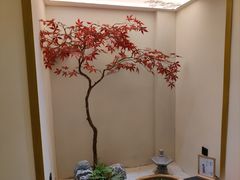 -有茶空间(万科金色半山店)