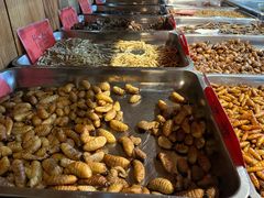 -昆虫窝子·特色云南菜(拓东路总店)