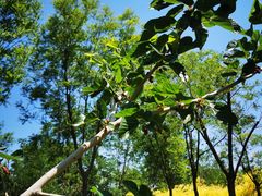 -天津盘山风景名胜区