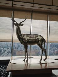 -北京柏悦酒店宴会厅