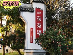 -茯茶镇