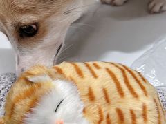 -上海第一八佰伴