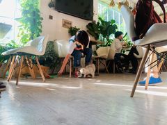 -小时光咖啡馆(北锣鼓巷店)