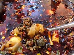 -黑竹香鸡(营和巷店)