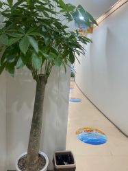 -郑荃丽格医疗美容