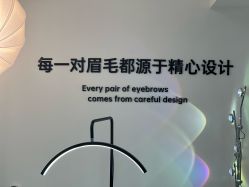 -原生美学·SMP3D纹发·纹野生眉
