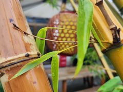 -潇湘·永州会馆(百子湾店)