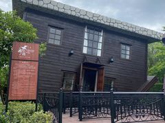 -金山农民画村-枫泾波兰倒置屋