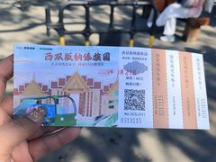 -西双版纳傣族园