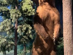 -陕西自然博物馆