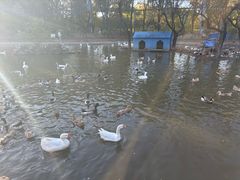 -森林公园(尖草坪区)