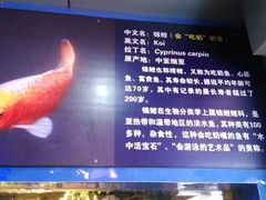 -左海海底世界