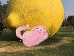 -顺峰山公园