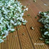 又是槐花 包饺子 蒸麦饭 反正农民卖的超新鲜啊