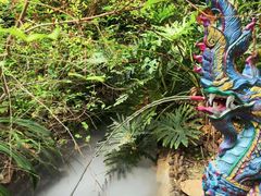 -呀路古热带植物园