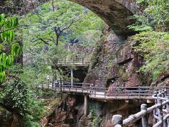 -大鄣山卧龙谷景区