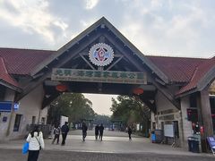 -上海海湾国家森林公园