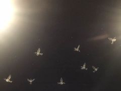 -聚星影咖