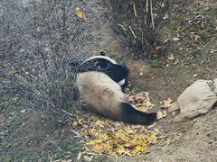 -大连森林动物园