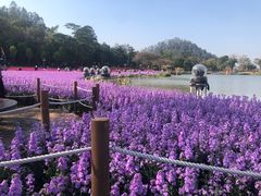-顺峰山公园