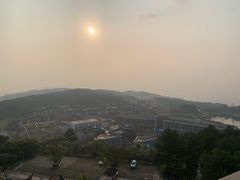 -铁山坪森林公园