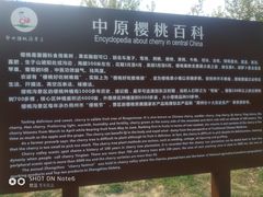 -樱桃沟景区