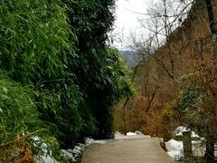 -王顺山国家森林公园