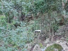 -抚仙湖禄充风景区