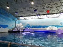 -秦皇岛乐岛海洋王国