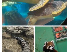 -海合安武汉极地海洋公园