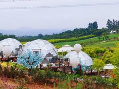 -紫颐香薰山谷景区