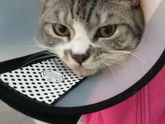 -荔康动物医院(康王北路店)