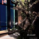 八闽菜系天花板 登陆杭州