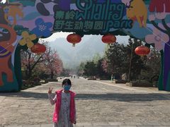 -西安秦岭野生动物园