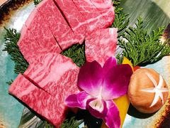 -神户牛焼肉専門店 牛一(道顿堀店)