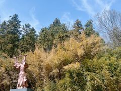 -冶父山国家森林公园