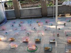 -黄埔古港