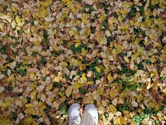 -汉景帝阳陵博物院