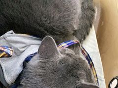 -爱侣宠医·鹦鹉专科·小型哺乳类·异宠专科(灵石路店)