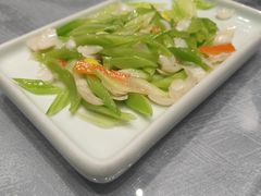 -丁老爷子苏香圆