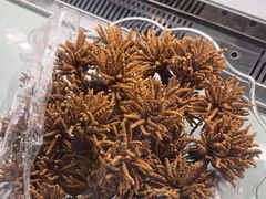 -三江源牌冬虫夏草(中山北路店)