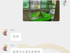 -青石桥花鸟鱼虫市场(叠翠城店)