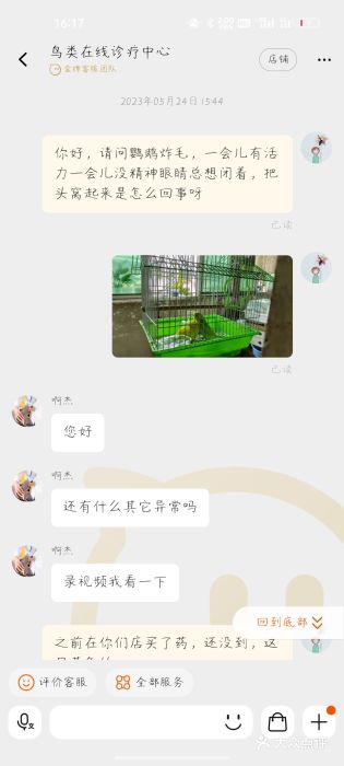 青石桥花鸟鱼虫市场(叠翠城店)图片