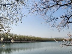 -颐和园