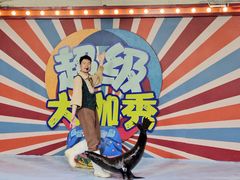 -南昌海洋公园