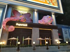 -帕帕拉兹宠物(亚洲旗舰店)